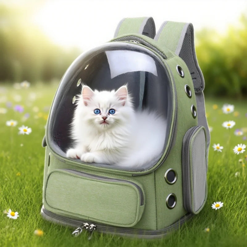 Sac à dos animal de compagnie – Transparent, respirant, pour chats et petits chiens, voyage extérieur