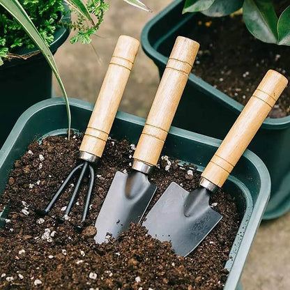Set 3PCS mini outils de jardin – Pour pots, plantes, cactus, fleurs et légumes