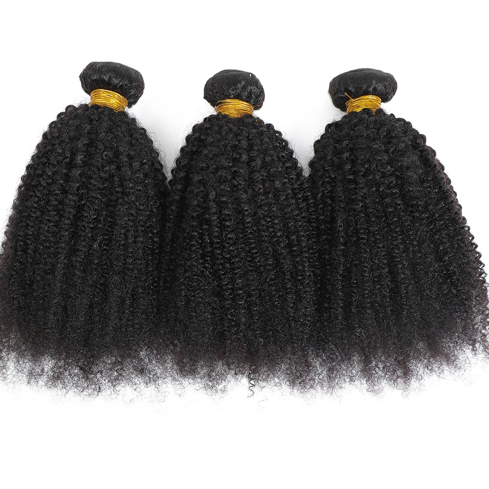 Bundles Cheveux Humains Bouclés Indiens Afro 100% Naturel 4B﻿, 4C