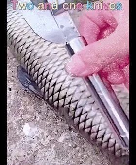 Couteau multifonction 3‑en‑1 inox pour poisson – gratter, éplucher, fileter
