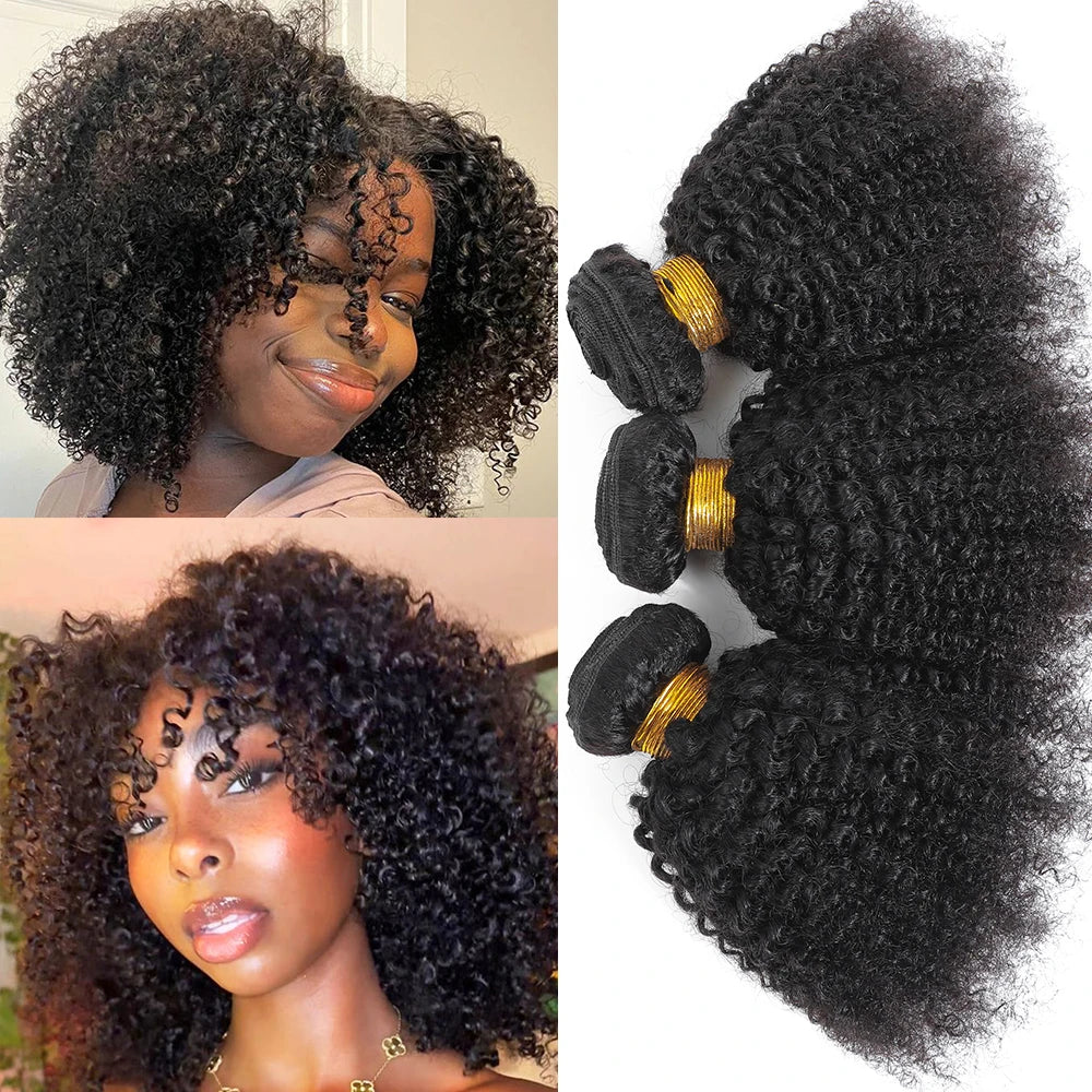 Bundles Cheveux Humains Bouclés Indiens Afro 100% Naturel 4B﻿, 4C