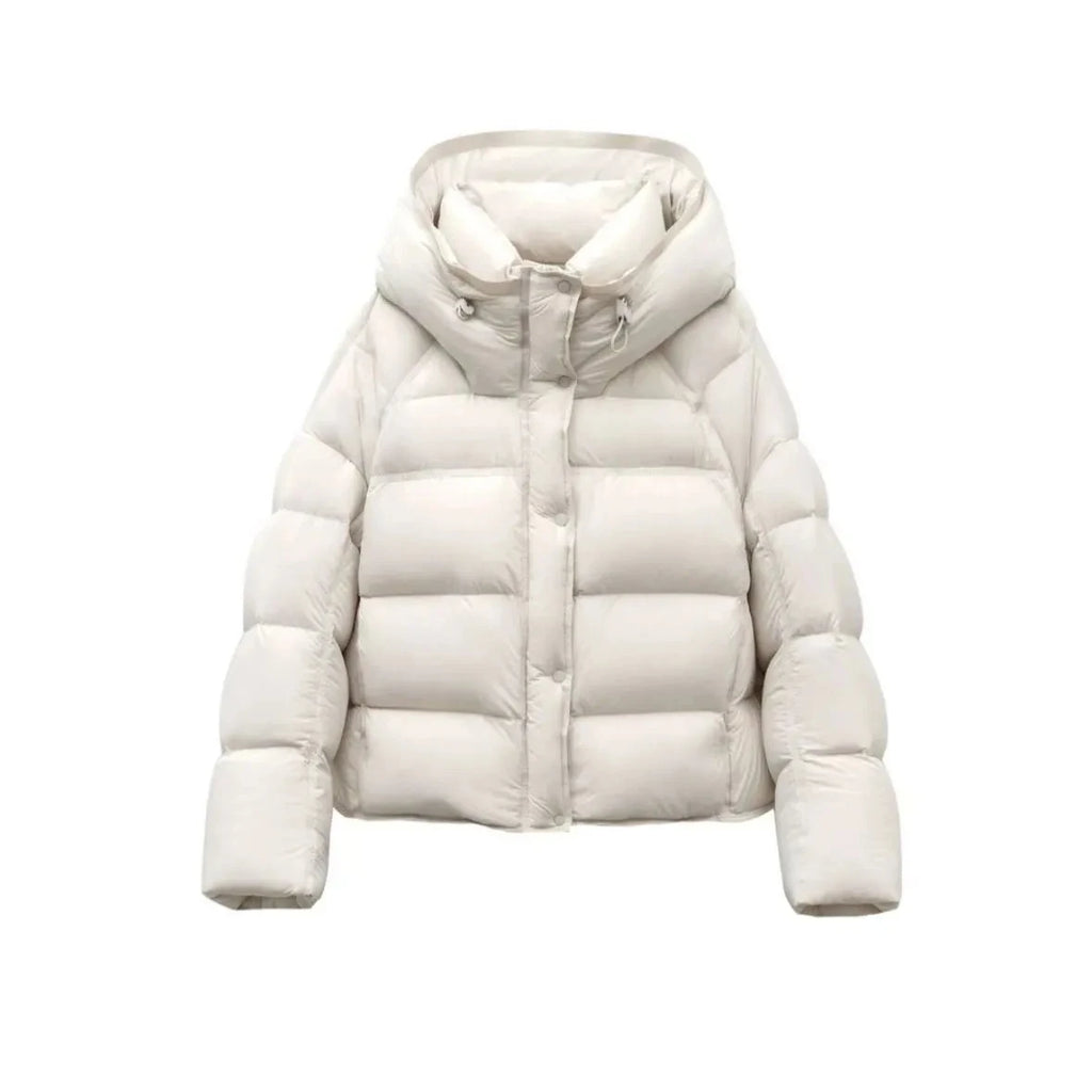 Manteau Court Femme – Coton Rembourré Mode Hiver