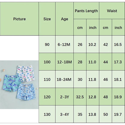 Maillot de bain pour petits garçons de 1 à 4 ans, short imprimé dinosaure/requin